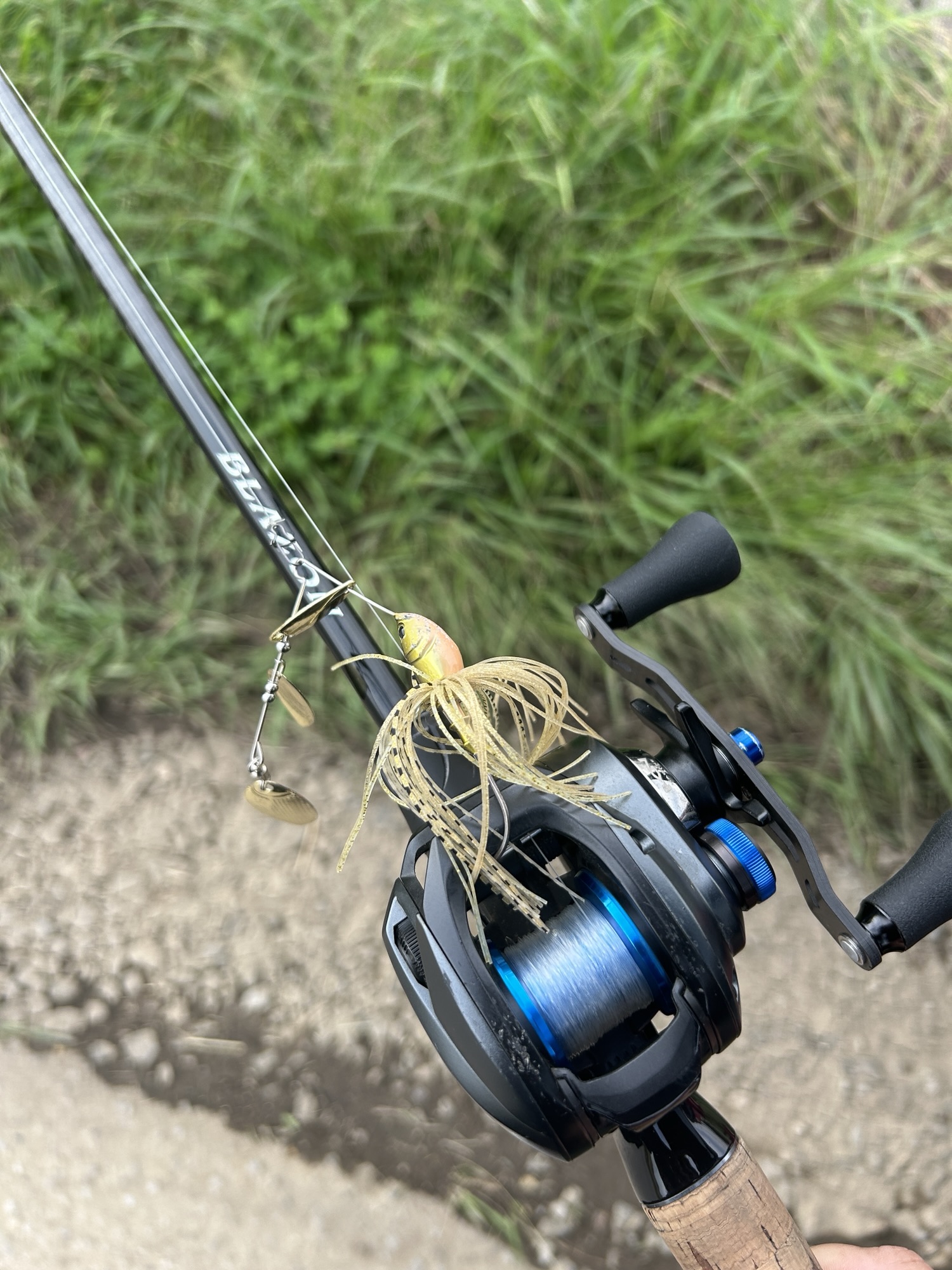 BLAZON C610M-2を2年以上使った実釣レビュー｜1/2ozの巻物を中心に使っ